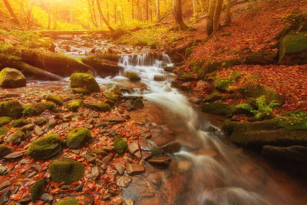 Schnellen Gebirgsfluss Herbst Farbenfroher Holz Hintergrund — Stockfoto