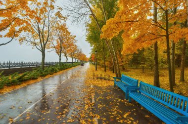 Autumn park bench, rainy texture background. Rain in autumn park, drops of water, wind. clipart