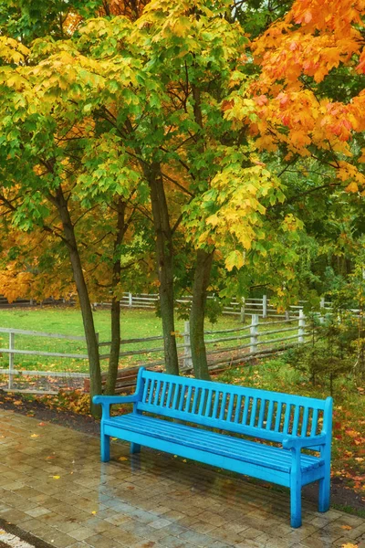 Autumn Park Bench Rainy Texture Background Rain Autumn Park Drops — Stock Photo, Image