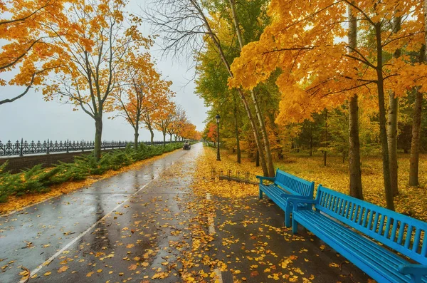 Herfst Parkbank Regenachtige Textuur Achtergrond Regen Herfst Park Druppels Water — Stockfoto