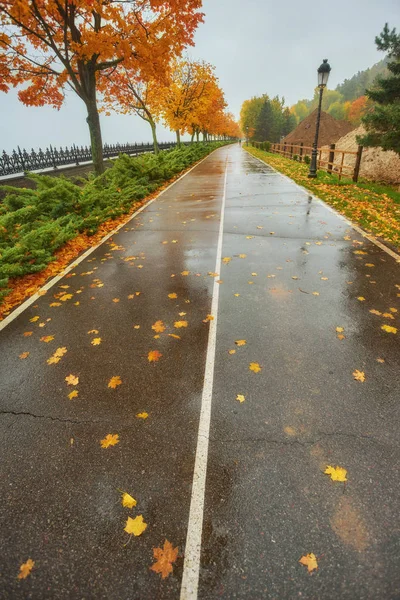 autumn park, rainy background, autumn landscape background rain texture in an October park, walk in bad weather, drops of water, windy weather, bad weather, sad mood