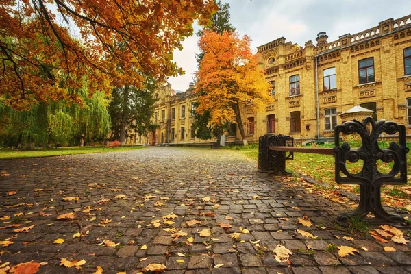 Beautiful Colorful Autumn Park Sunny Day — Stock Photo, Image