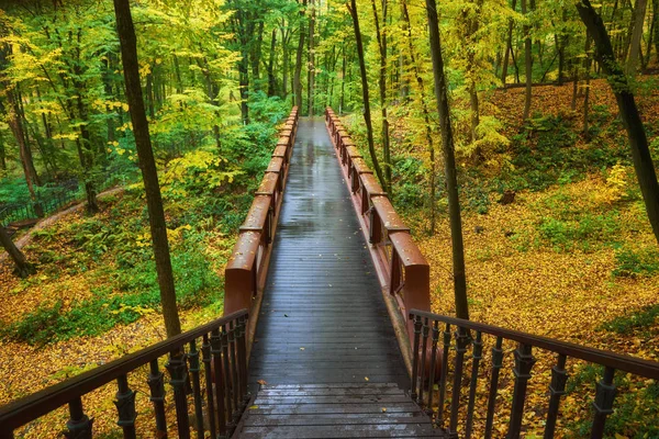 Beautiful wooden bridge in the forest. Colored leaves. Autumn, the first lights in the morning.