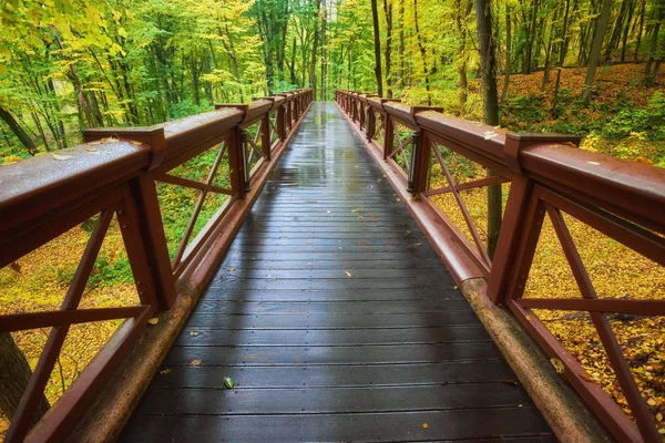 Beautiful Wooden Bridge Forest Colored Leaves Autumn First Lights Morning — Stock Photo, Image