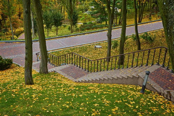 Holzstammtreppen Goldenen Herbstwald Touristischer Fußweg — Stockfoto