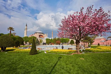 Dış Ayasofya Sophia Ayasofya Camii Müzesi, Sultanahmet, Istanbul tarihi alanları, güneşli bir günde.