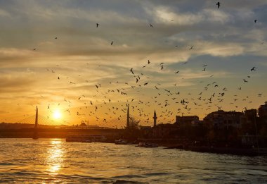 Deniz ve martı ile Istanbul'da günbatımı