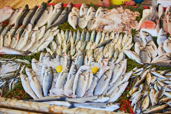 Peixe Fresco Gelo Mercado — Fotografia de Stock