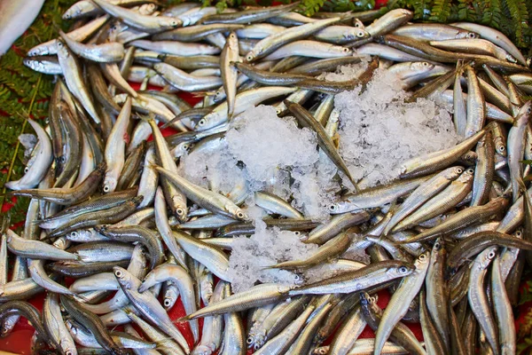 Mercado Peixe Rua Peixe Fresco Frutos Mar São Vendidos Istambul — Fotografia de Stock