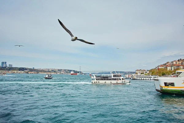 Θέα Στην Κωνσταντινούπολη Και Επιβατηγά Πλοία Ποταμός Του Βοσπόρου Τουρκία — Φωτογραφία Αρχείου