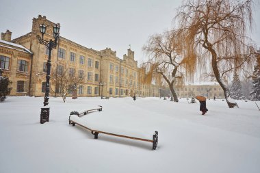 Gün batımının güzel kış parkı Gökyüzü ve ağaçlar