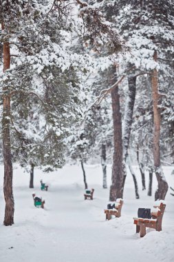 Parkta bankta Kışın karda