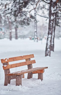 Kış kenti parkındaki banklar. Karla dolu. Karla kaplı ağaçlar.