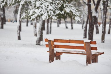 Kış kenti parkındaki banklar. Karla dolu. Karla kaplı ağaçlar.