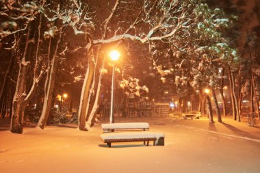 Yılbaşı ağacı ve kar altında parlayan fener manzarası. İyi geceler..