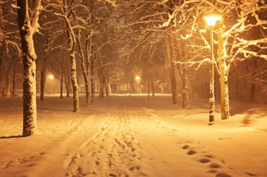 Park 'taki kış sokağı ve parlayan fenerler. İyi geceler..
