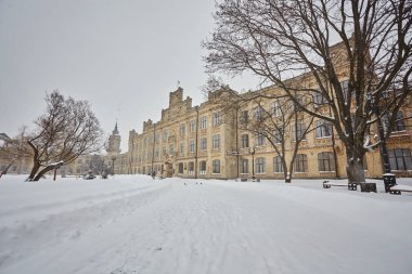 Kış şehri manzarası. Kış parkı karla kaplı. Şehir parkında karla kaplı bir ağacın altında bir bank..