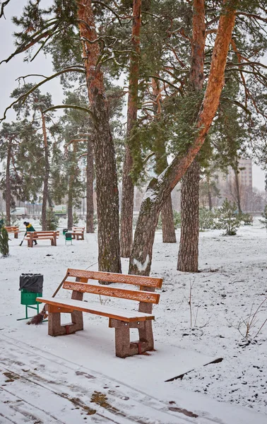 Bank Het Park Sneeuw Winter — Stockfoto