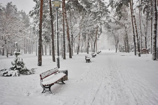 Parkta Bankta Kışın Karda — Stok fotoğraf
