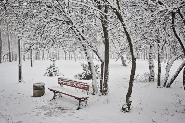 Скамейка Парке Снегу Зимой — стоковое фото