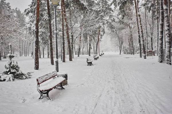 冬の都市公園にベンチ 雪でいっぱい 雪に覆われた木 — ストック写真