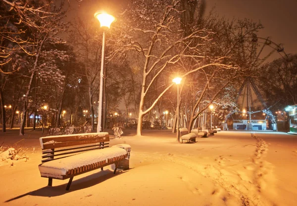 Kış kenti parkındaki banklar. Karla dolu. Karla kaplı ağaçlar.