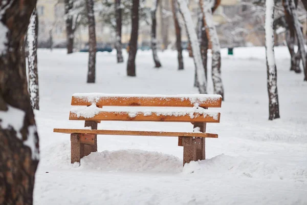 Bancos Parque Invierno Ciudad Lleno Nieve Árboles Cubiertos Nieve — Foto de Stock