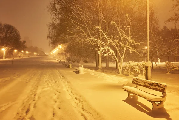 Вид Скамейки Рождественскую Елку Сияющий Фонарь Через Снег Ночной Выстрел — стоковое фото