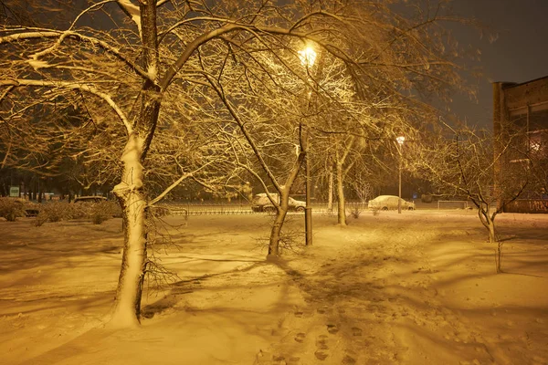 Zimowa Alejka Parku Świecące Latarnie Nocny Strzał — Zdjęcie stockowe