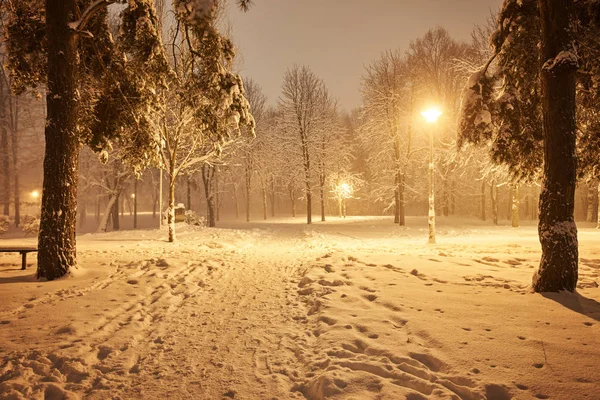 Téli Sikátor Parkban Fénylő Lámpák Éjszakai Felvétel — Stock Fotó
