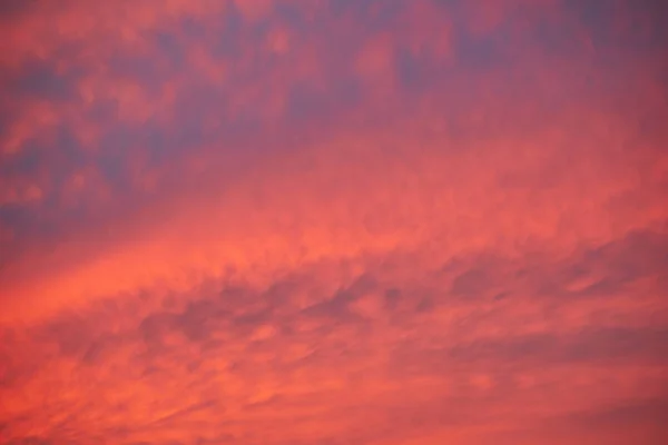 evening sky,sunset sky background,fantastic nature background,dramatic bright sunrise,cloudy twilight on summer,beautiful color cloud,dusk sky on sundown ,warm weather,nature warm tone.