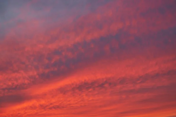 Orange Sunset Picture Can Used Background — Stock Photo, Image