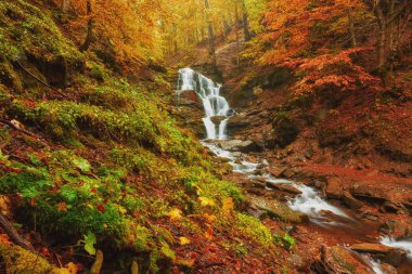 Beautiful waterfall at mountain river in colorful autumn forest with red and orange leaves at sunset. Nature landscape clipart