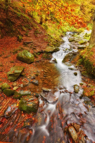 Sonbahar dere ormanları, sarı ağaçlar yapraklar ve orman dağlarında kayalar..