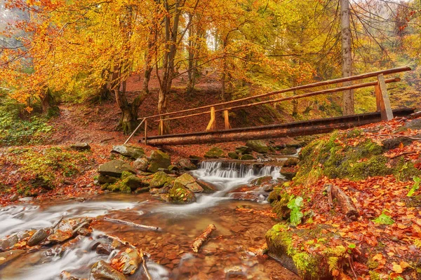 Paisaje Otoñal Puente Madera Parque Otoñal Entre Los Árboles Amarillentos — Foto de Stock