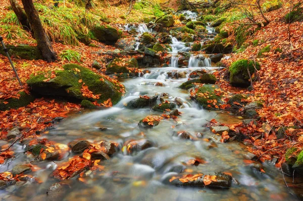 Autumn Stream Forest Gold Autumn European Landscape Wallpaper Landscape Background — Stock Photo, Image
