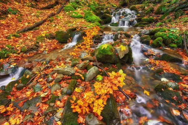 autumn stream in the forest, gold autumn European landscape, wallpaper landscape background