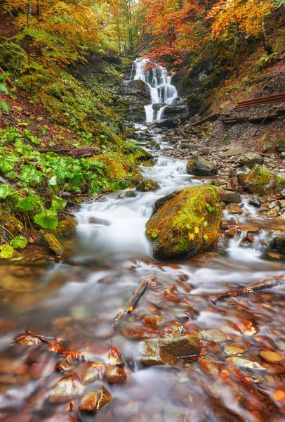 Herbst Bach Wald Gold Herbst Europäische Landschaft Tapete Landschaft Hintergrund — Stockfoto