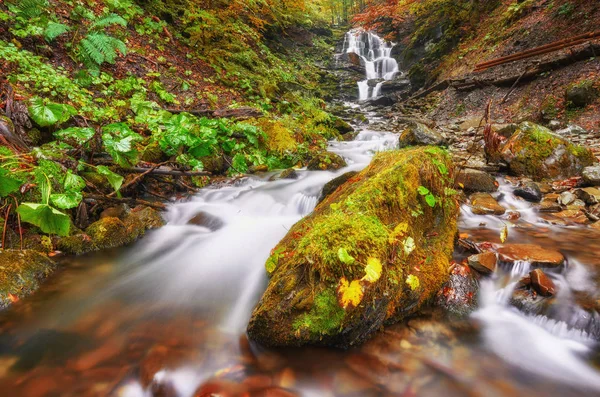 Hintergrund Textur Der Gelben Blätter Herbst Blatt Hintergrund — Stockfoto