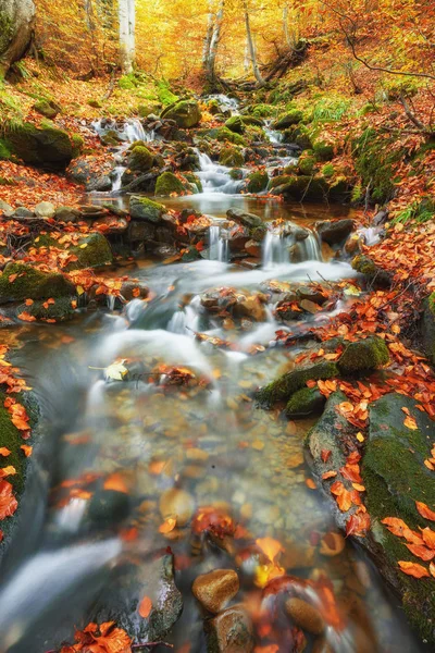 Snabb Berg Flod Höst Colorfull Trä Bakgrund — Stockfoto