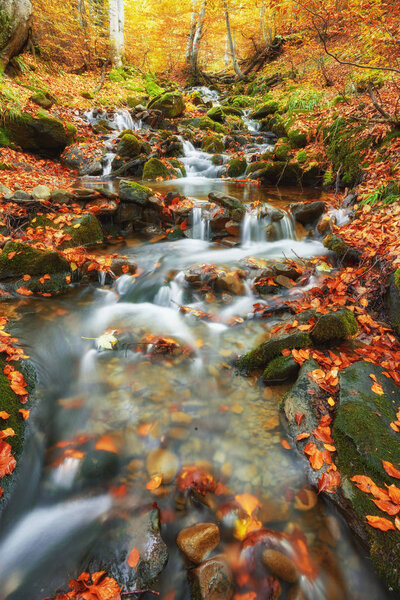 rapid mountain river in autumn. Colorfull wood background