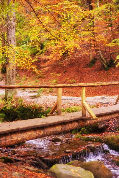 Деревянный Мост Через Ручей Осеннем Лесу — стоковое фото