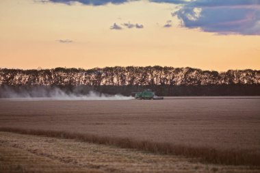 bir buğday alanında çalışan hasat birleştirin. Sunset Bulvarında