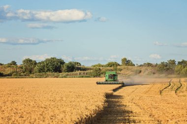 Mısır gevreği alan kırpma alanını birleştirmek hasat