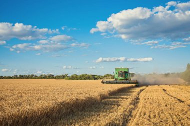 Mısır gevreği alan kırpma alanını birleştirmek hasat