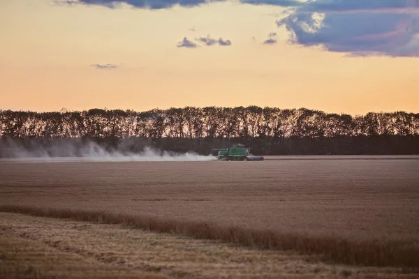 bir buğday alanında çalışan hasat birleştirin. Sunset Bulvarında