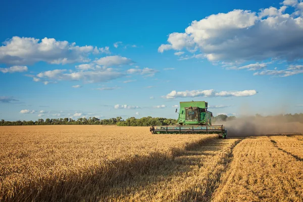 Harvesting Combine Field Cropping Cereal Field — Stock Photo, Image