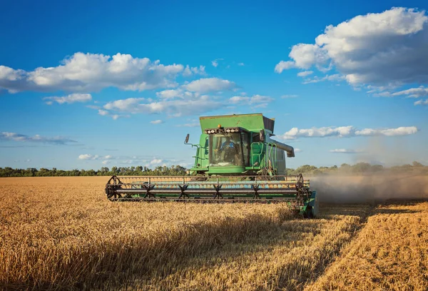 Colheita Combinar Campo Cultivo Cereais Campo — Fotografia de Stock