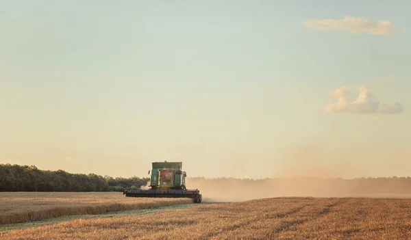 Harvesting Combine Field Cropping Cereal Field — Stock Photo, Image