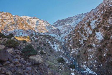Tarık, yüksek Atlas, Toubkal Milli Parkı dağlarında hiking